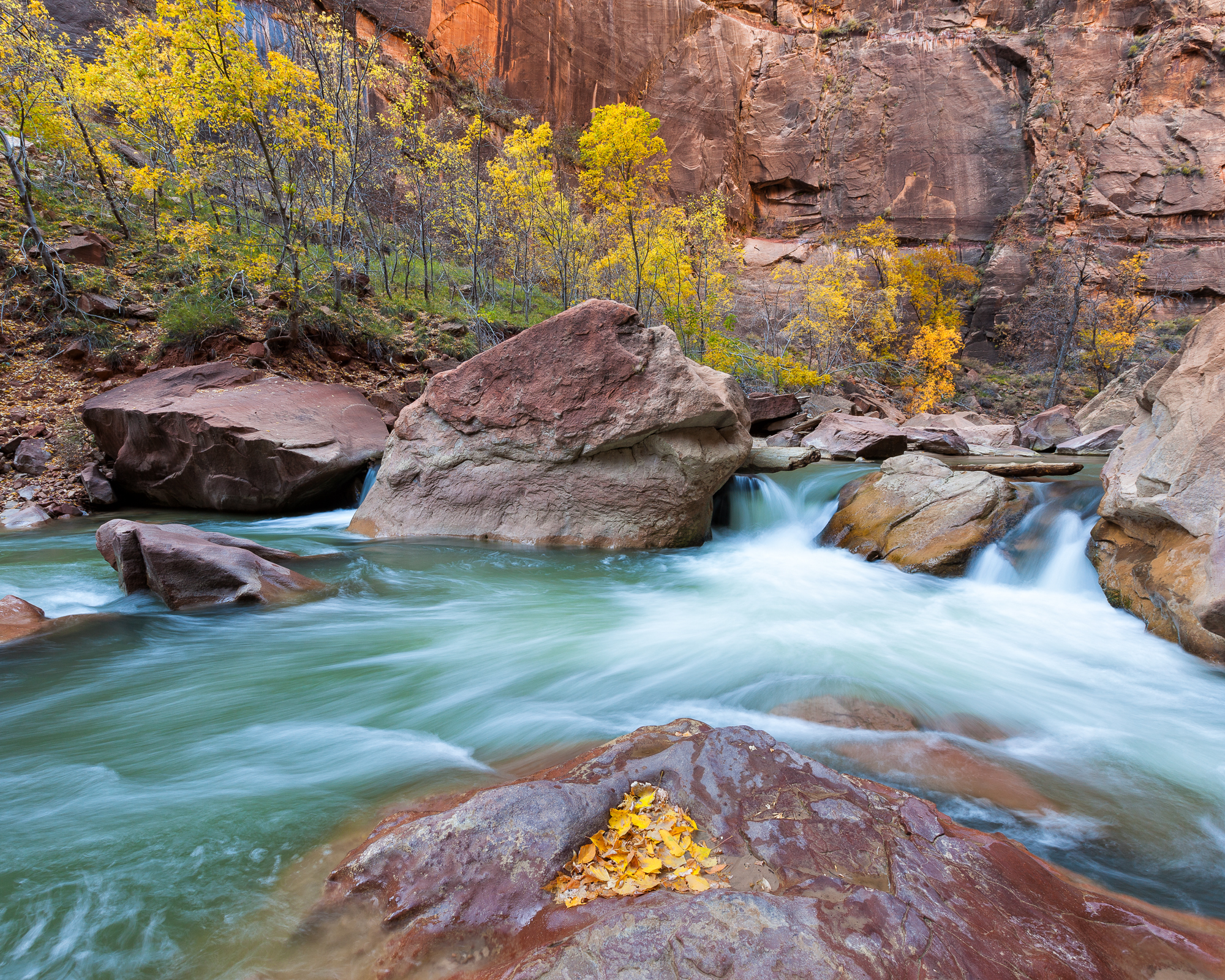 The Virgin River rushes over small waterfalls below colorful autumn foliage as it flows through Zion Canyon near the Temple of Sinawava in Zion National Park, Utah.